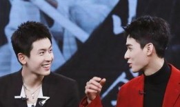 娛樂(lè)圈雙男主,雙男主攜手演繹娛樂(lè)圈的璀璨傳奇