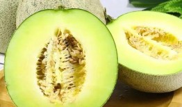 網(wǎng)紅熱瓜,揭秘網(wǎng)絡紅人的崛起與爭議