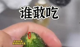 52吃瓜爆料免費吃瓜視頻,免費暢享熱門吃瓜視頻盛宴