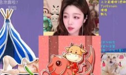 小瓜陸的視頻,揭秘視頻中的精彩瞬間