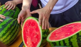 吃瓜長清大學體育生