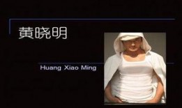 明星黑料ppt,PPT背后的真相與反思