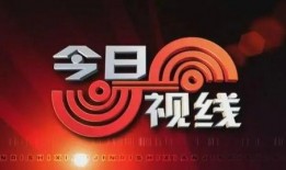 今日爆料,今日爆料背后的驚人真相