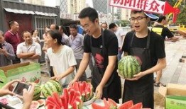 朝陽吃瓜群眾網,揭秘娛樂圈幕后故事，帶你領略不一樣的娛樂圈