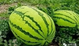 熱門大瓜往期內(nèi)容