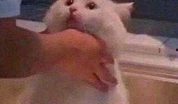 今日吃瓜-熱心的朝陽群眾吃瓜,揭秘今日熱點事件