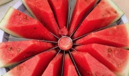 今日吃瓜每日大賽 在線吃瓜--今日大賽,在線大賽，瓜界風云再起