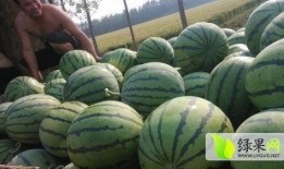 懷仁網紅大瓜最新消息,揭秘背后驚人真相，網友熱議不斷！