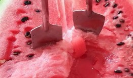 今日吃瓜感悟,品味人間百態