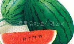 吃瓜網51官網版,熱門資訊一網打盡