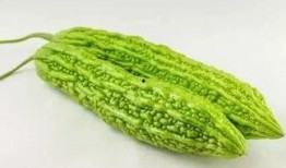 56吃瓜網(wǎng),揭秘娛樂圈最新熱點(diǎn)，帶你領(lǐng)略明星幕后故事