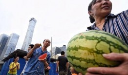 朝陽吃瓜群眾網(wǎng),揭秘娛樂圈幕后故事，帶你領(lǐng)略不一樣的娛樂圈