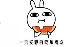 吃瓜是什么意思,網(wǎng)絡(luò)熱詞背后的文化現(xiàn)象