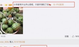 吃瓜視頻在線,帶你領略網絡娛樂新潮流