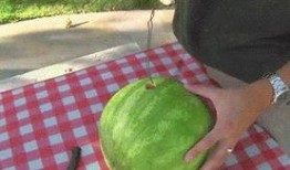 今日吃瓜感悟,品味人間百態