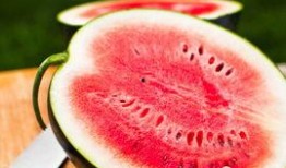 今日吃瓜每日必吃,每日必吃，揭秘娛樂圈新鮮事