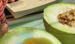 今日吃瓜,揭秘娛樂圈最新熱點事件