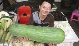 52每日大瓜視頻,揭秘娛樂圈幕后故事，帶你領略明星真實生活