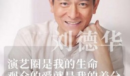 娛樂圈是我的,我的傳奇征程