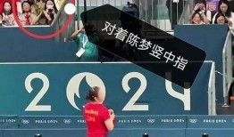 體育圈粉絲,激情燃燒的歲月，熱血沸騰的追隨