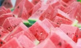 吃瓜網(wǎng)每日大賽,精彩對決，誰將脫穎而出？