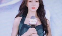 明星黑料網(wǎng)站視頻迪麗熱巴,真相與謠言的交織