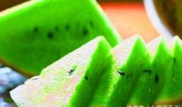 56吃瓜網(wǎng),揭秘娛樂圈最新熱點(diǎn)，帶你領(lǐng)略明星幕后故事