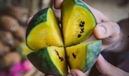 朝陽號外官網免費吃瓜,免費吃瓜盛宴，暢享夏日清涼！