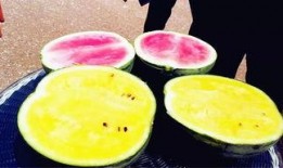 52爆料吃瓜網(wǎng),揭秘娛樂圈最新熱點事件