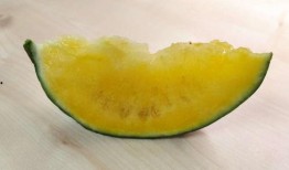 今日吃瓜,揭秘娛樂圈最新熱點事件