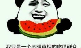 吃瓜群眾,吃瓜群眾眼中的明星生活