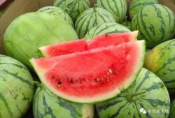 今日吃瓜每日,揭秘娛樂圈最新熱點事件