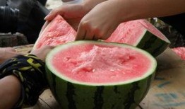 51朝陽吃瓜,揭秘娛樂圈最新吃瓜事件，帶你領略明星幕后故事