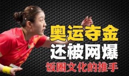 體育圈飯圈,激情燃燒的歲月