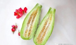 懷仁最近網紅大瓜,揭秘背后驚人真相