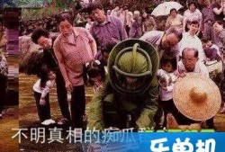 朝陽吃瓜群眾什么意思