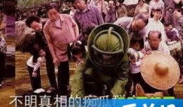 朝陽吃瓜群眾什么意思