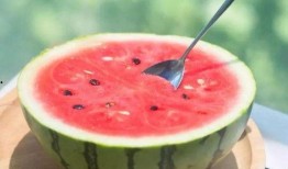 吃瓜網官網免費觀看,熱門劇集一網打盡！