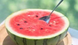 吃瓜網(wǎng)官網(wǎng)免費觀看,熱門劇集一網(wǎng)打盡！