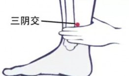 過量吃瓜容易腹痛腹瀉嗎,揭秘夏日消暑食品的潛在風險