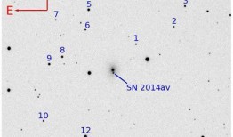 今日吃瓜51cg熱門大瓜首頁,51CG熱門大瓜盤點，揭秘娛樂圈最新動態