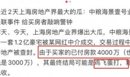 網(wǎng)紅大瓜小說(shuō)免費(fèi)閱讀,免費(fèi)閱讀背后的秘密與誘惑