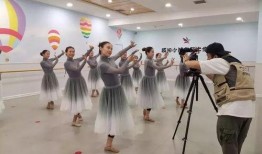 獨家爆料藝術學校極品舞蹈生,揭秘藝術學校極品舞蹈生的傳奇故事