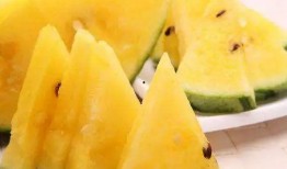 黑瓜吃料網(wǎng)