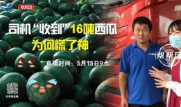 今日吃瓜完整版免費,完整版免費放送，熱點追蹤不容錯過