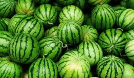 今日吃瓜每日必吃,每日必吃，揭秘娛樂圈新鮮事