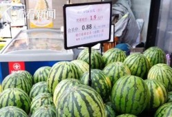 熱門大瓜,熱門大瓜背后的驚人真相