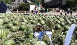 朝陽吃瓜群眾,揭秘都市生活百態