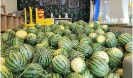 今日吃瓜官網(wǎng),揭秘娛樂圈最新熱點，帶你暢游八卦海洋